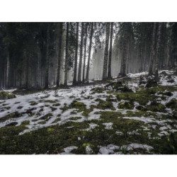 Heavy Duty Paper Shoes fr-FR